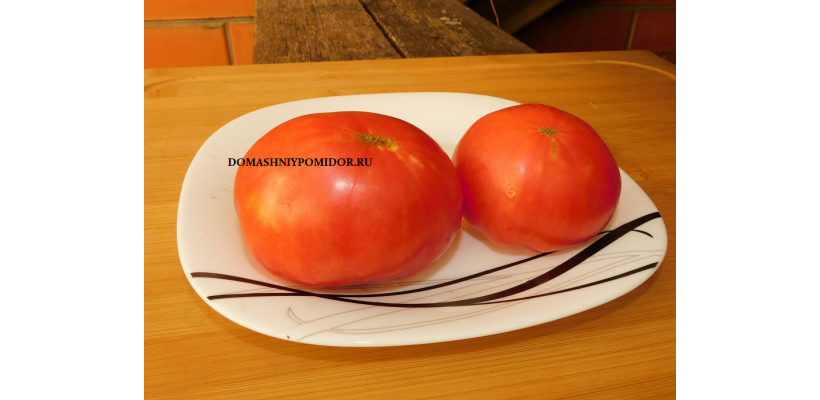 лото играть